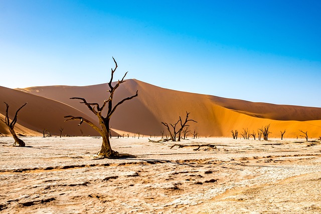 Namibia Sossusvlei